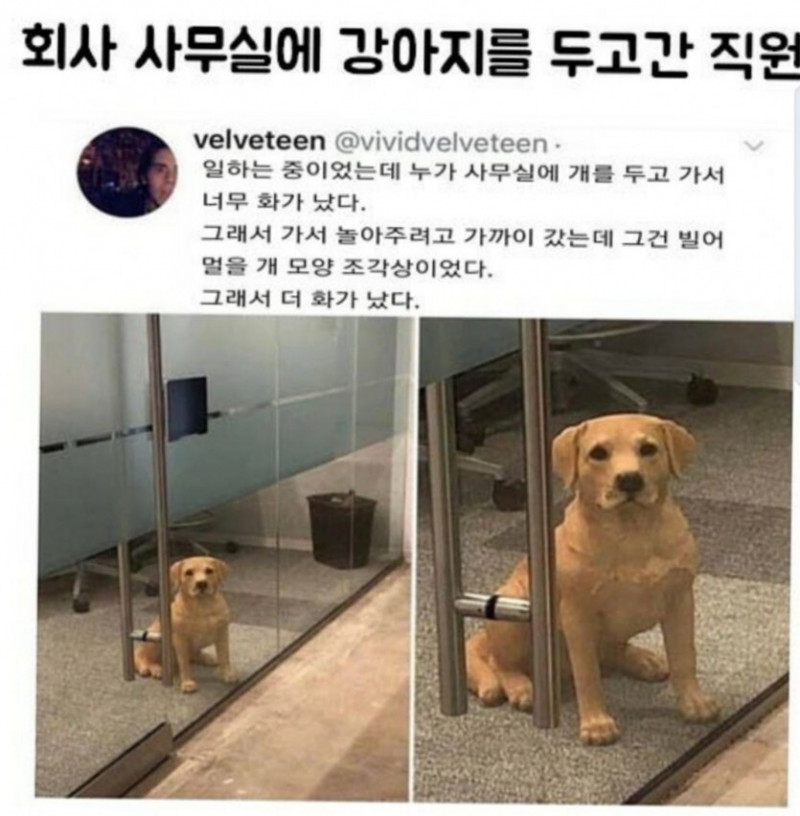 나눔로또 파워볼분석기