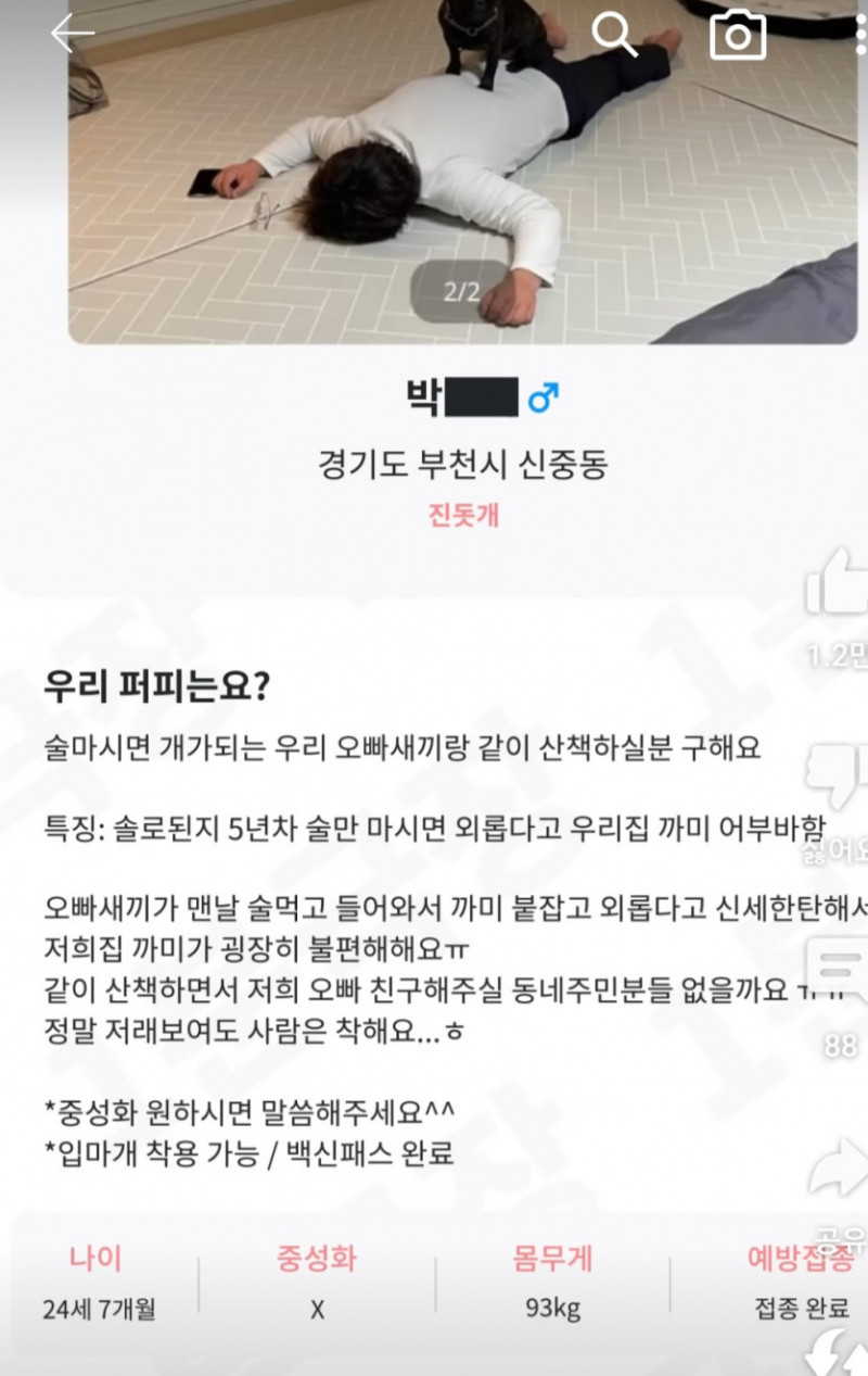 파워볼게임픽분석