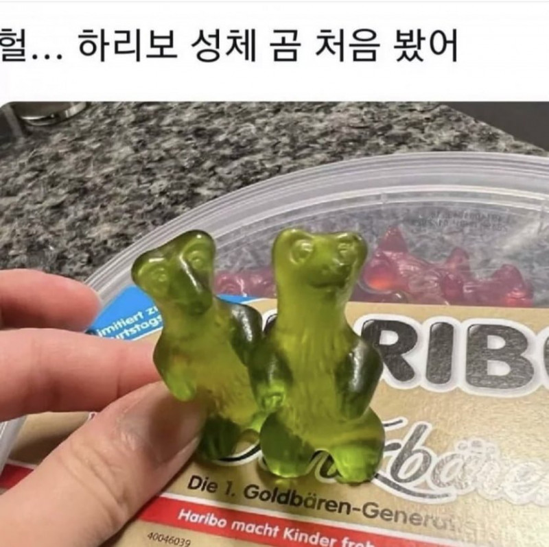 사다리 분석과 실시간패턴통계