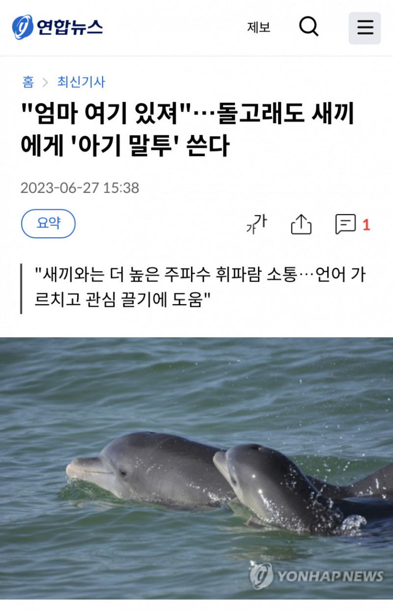 달팽이 분석과 실시간패턴통계