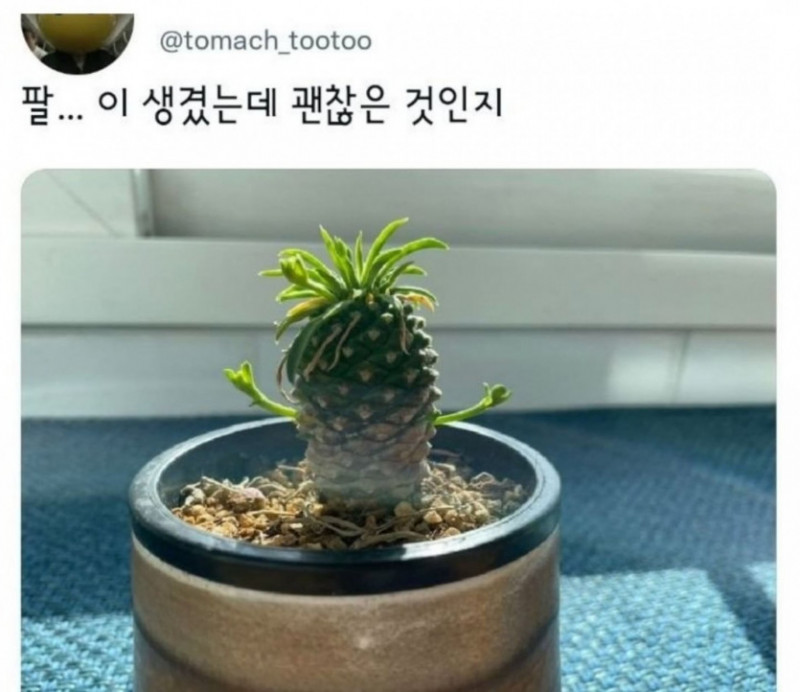 사다리게임통계