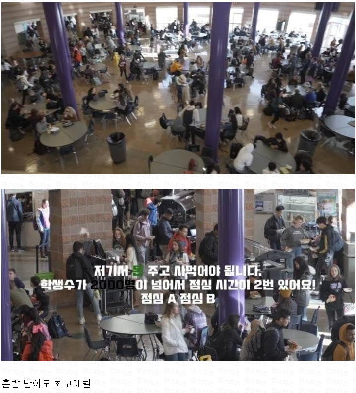 파워볼게임분석기
