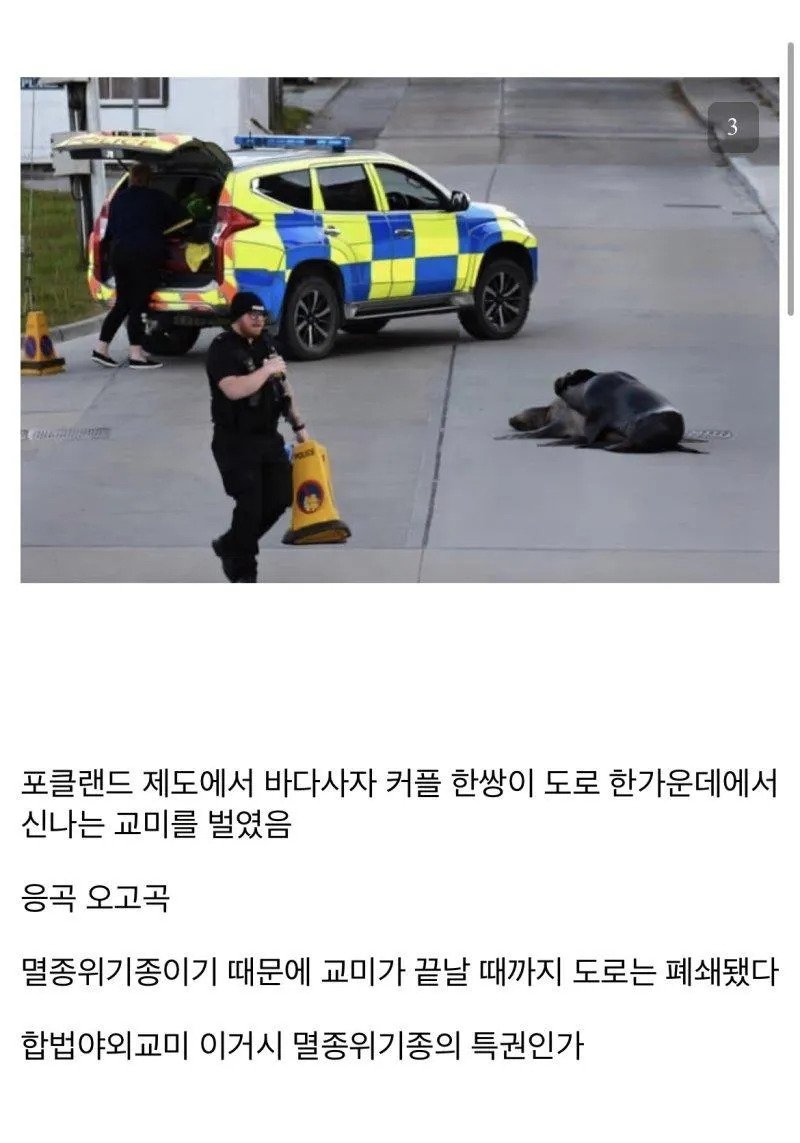 달팽이게임