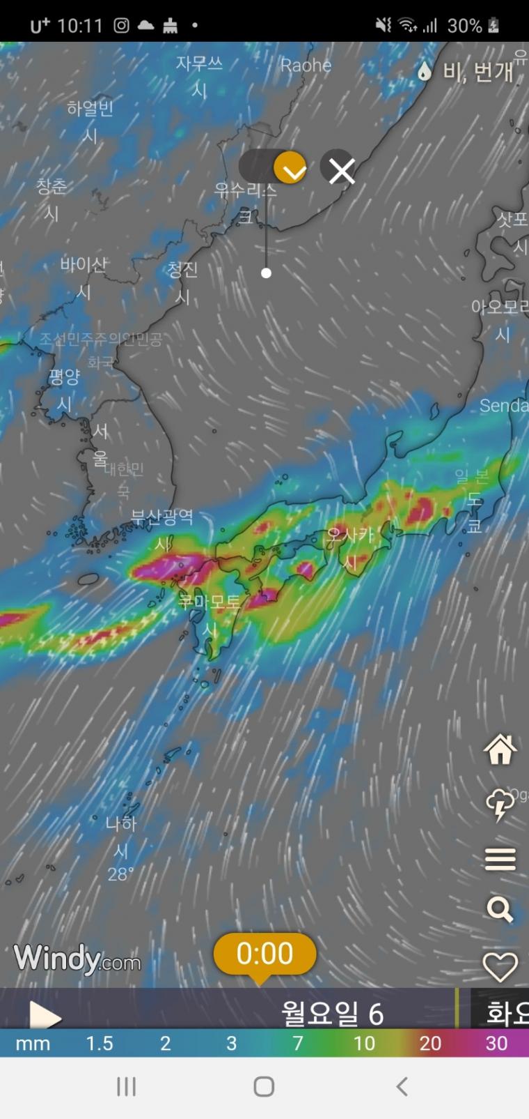 실시간다리다리