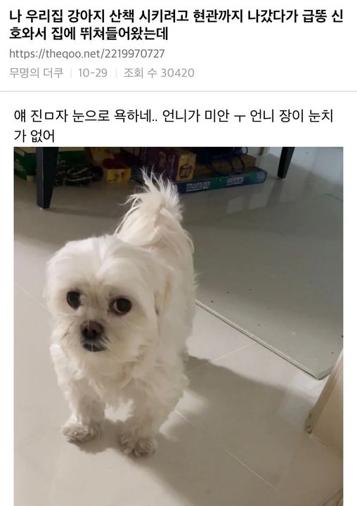 달팽이게임분석