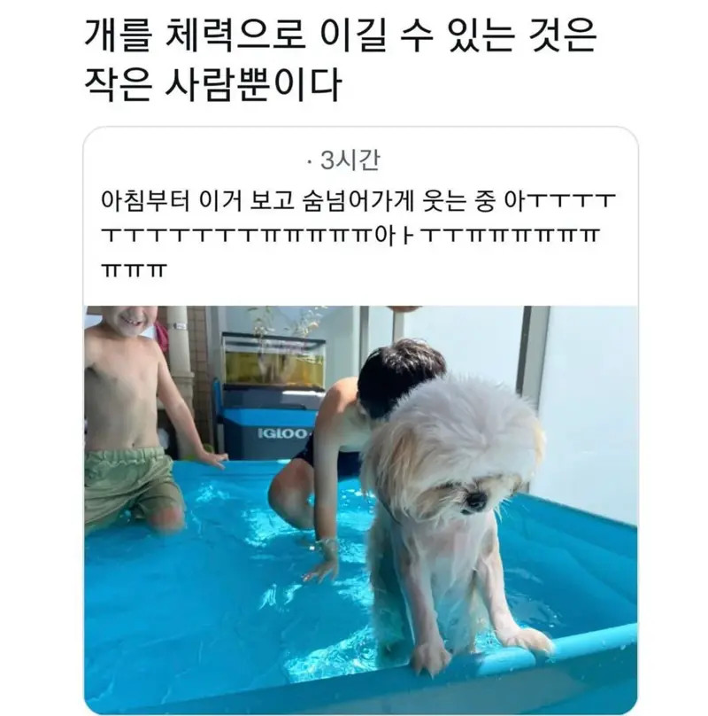 파워볼게임