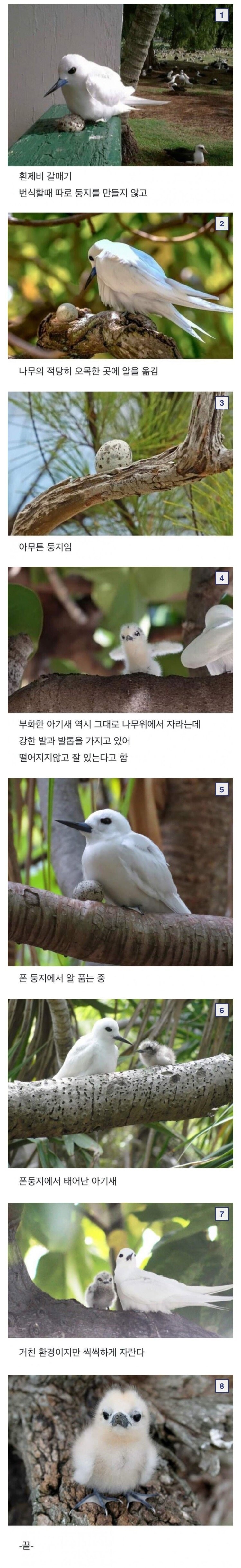 통축