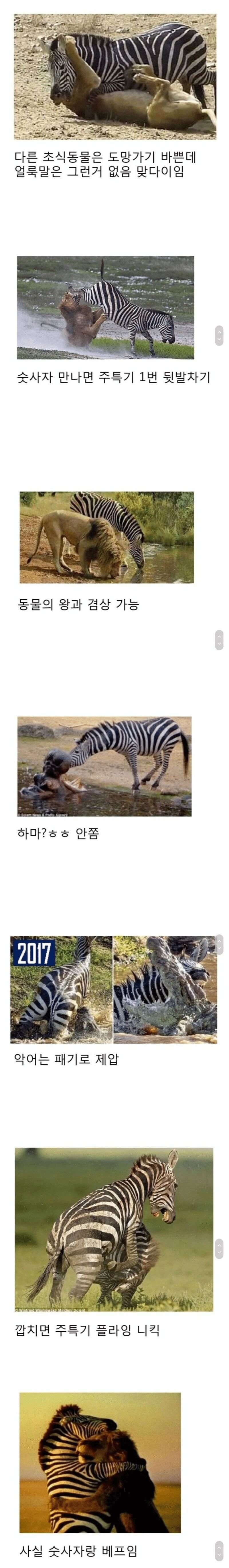 달팽이게임픽게임