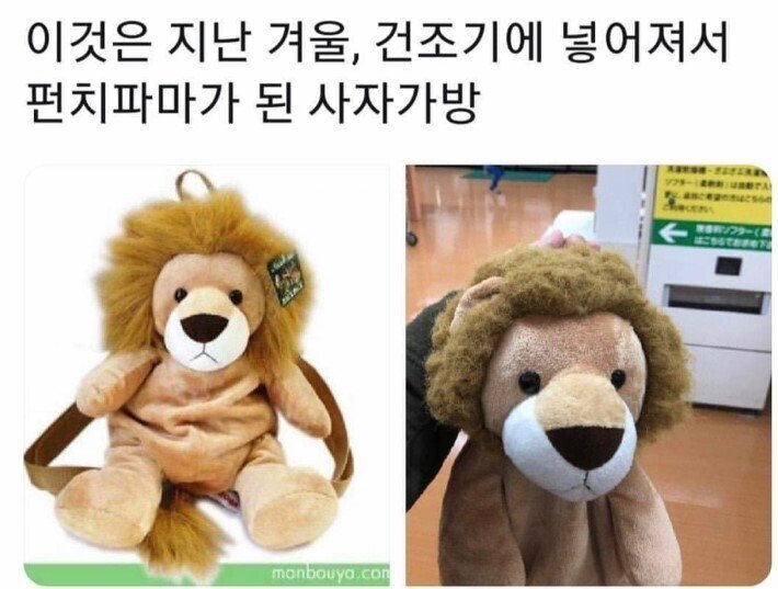 파워볼게임픽