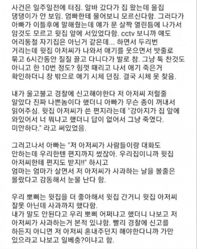 사다리 분석과 실시간패턴통계