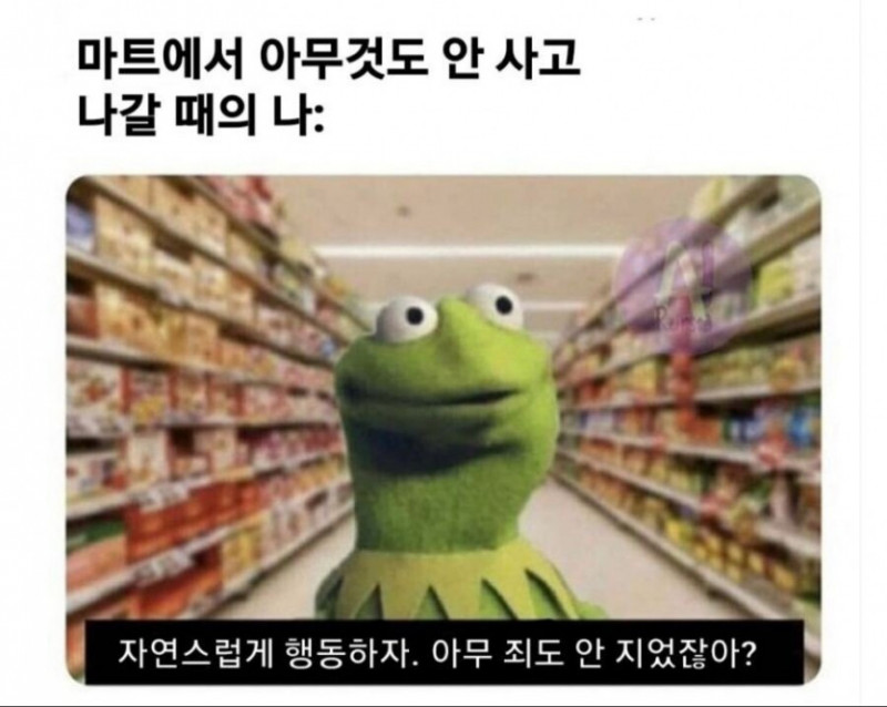 달팽이게임분석기