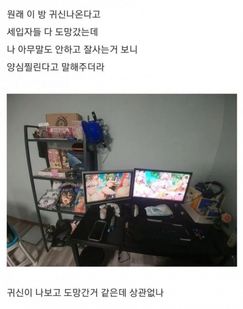 사다리게임