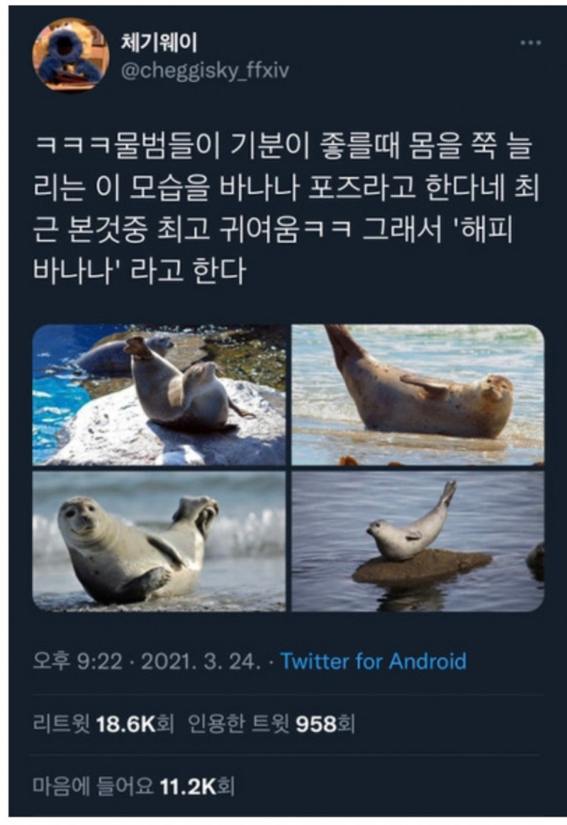 나눔로또 파워볼분석기