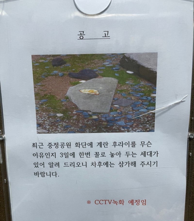 파워볼