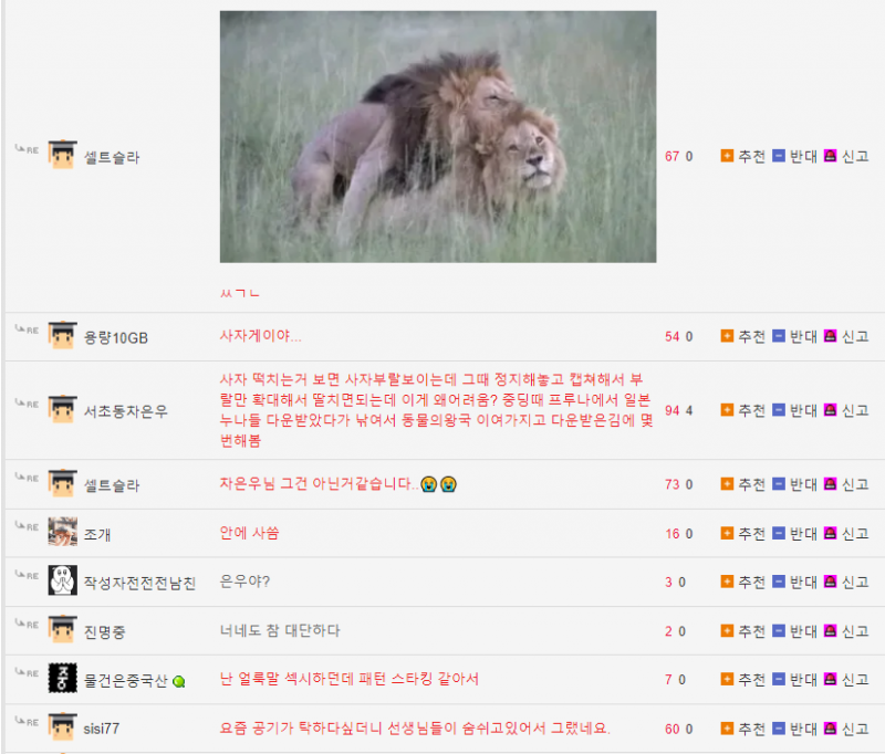 나눔로또