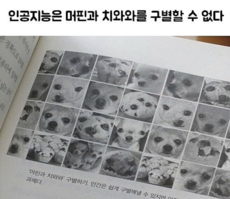 사다리게임통계