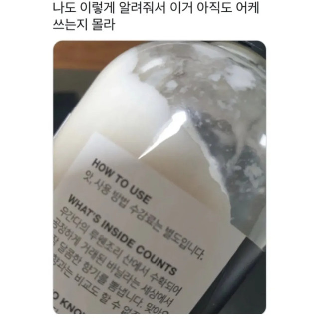 달팽이게임분석