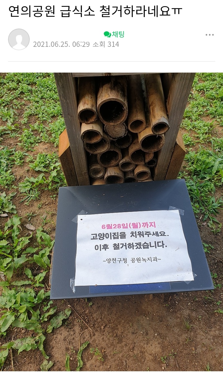 파워볼게임픽분석