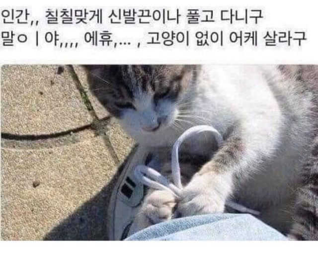 달팽이게임