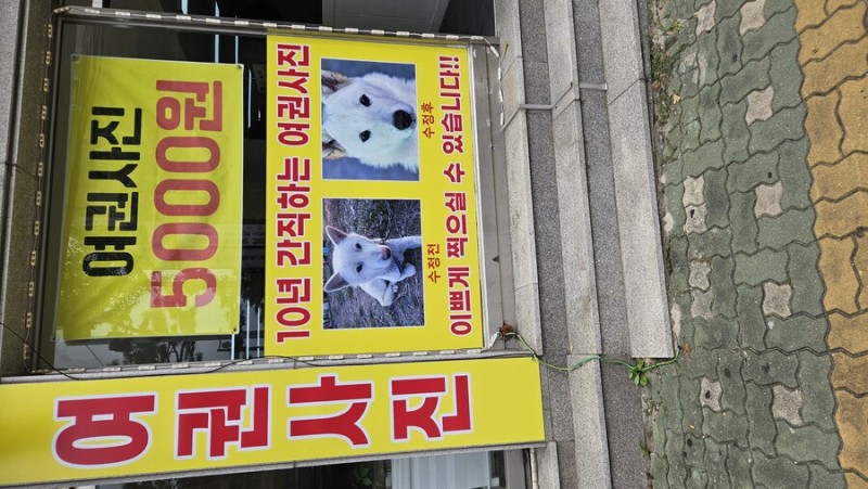 사다리게임