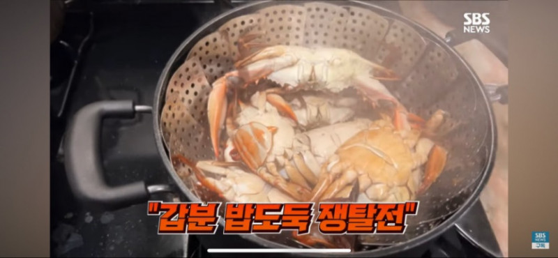실시간달팽이