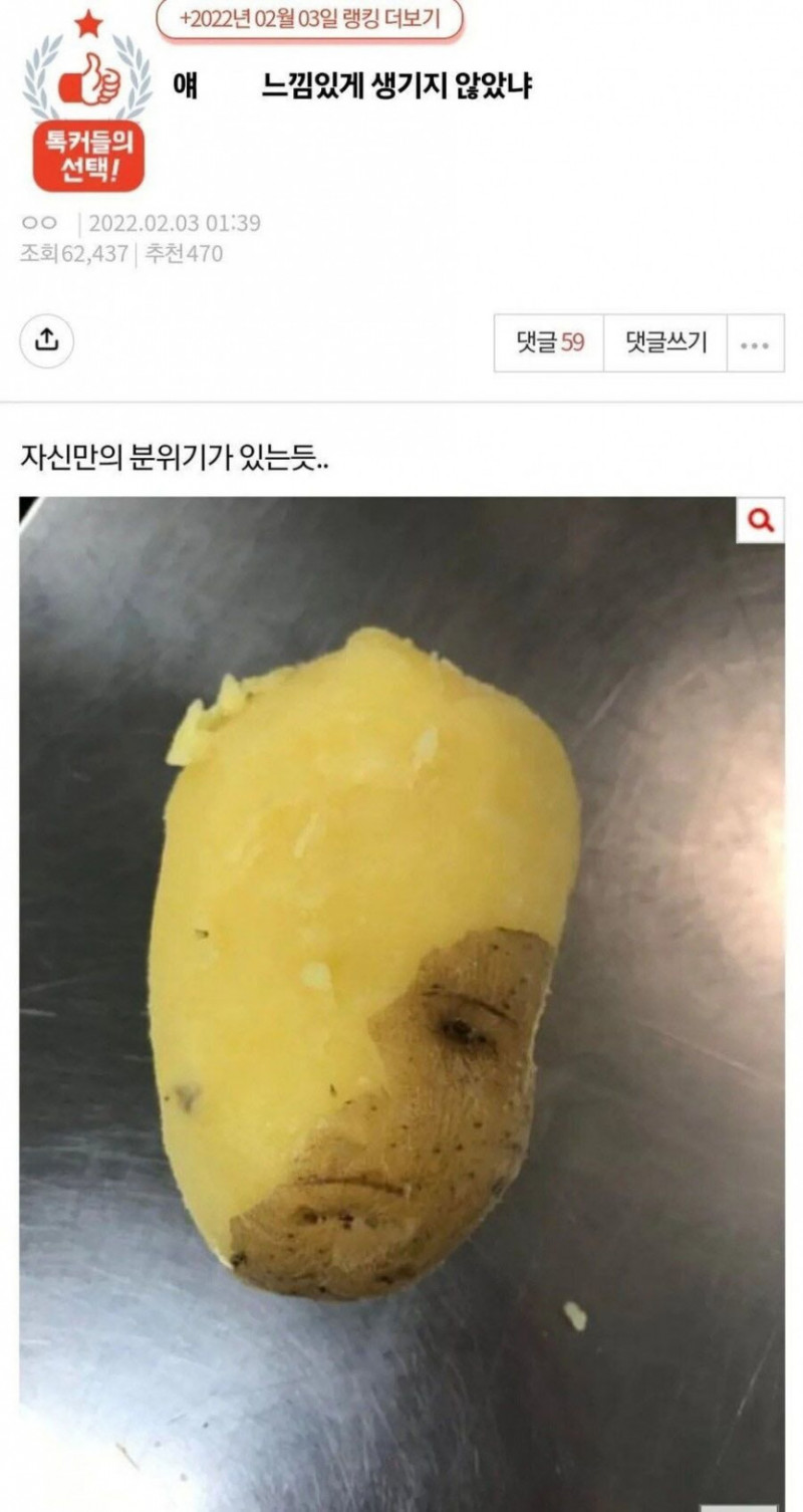 사다리 분석과 실시간패턴통계