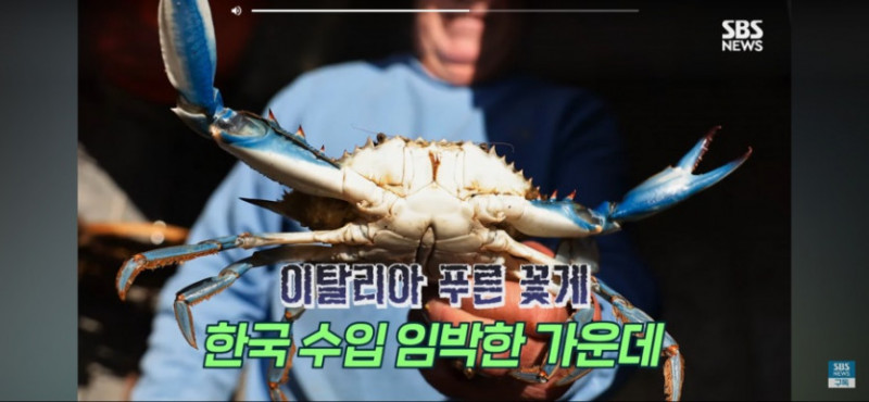 사다리게임픽분석