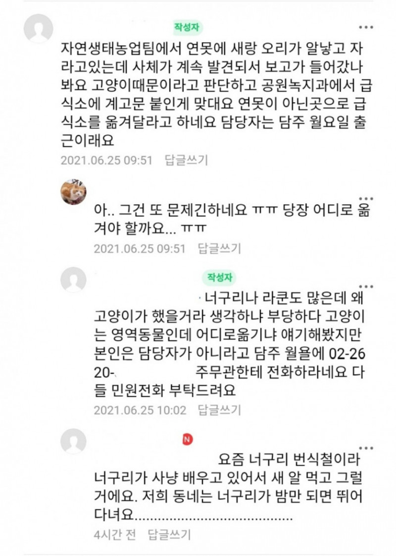 사다리게임픽분석