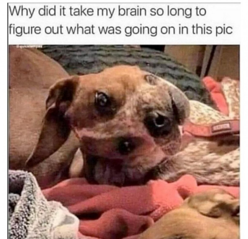 사다리게임픽분석