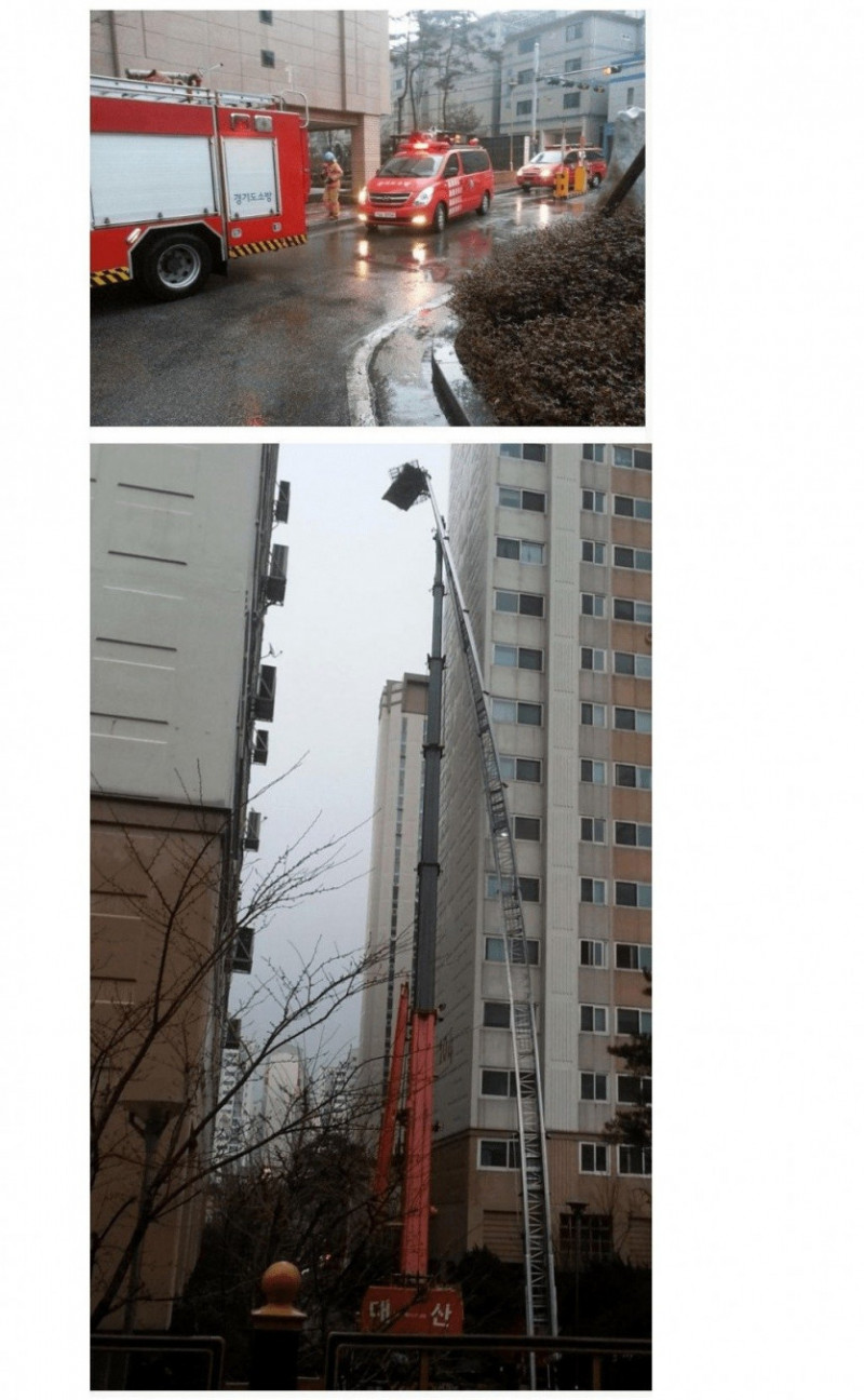 파워볼게임분석기