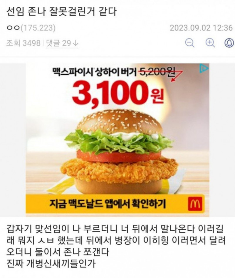 달팽이게임픽분석