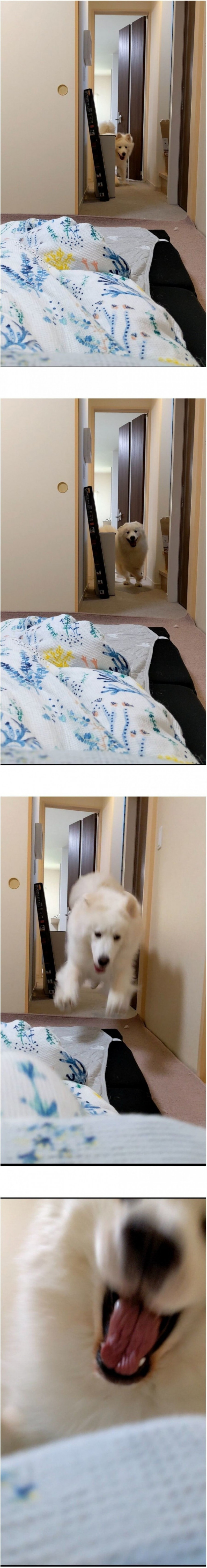 성인게임