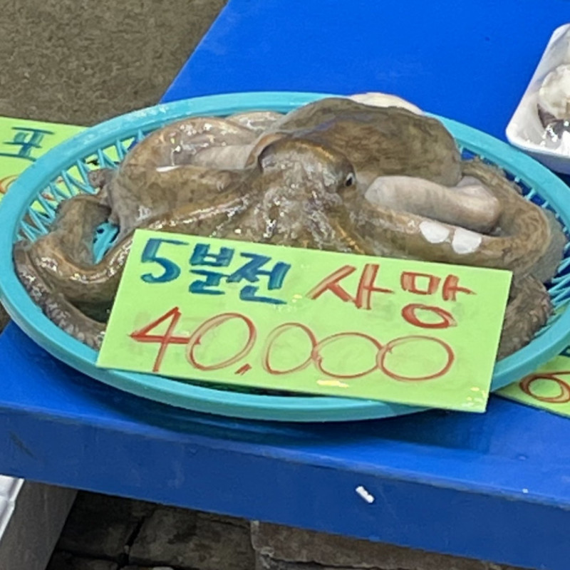 파워볼게임분석기