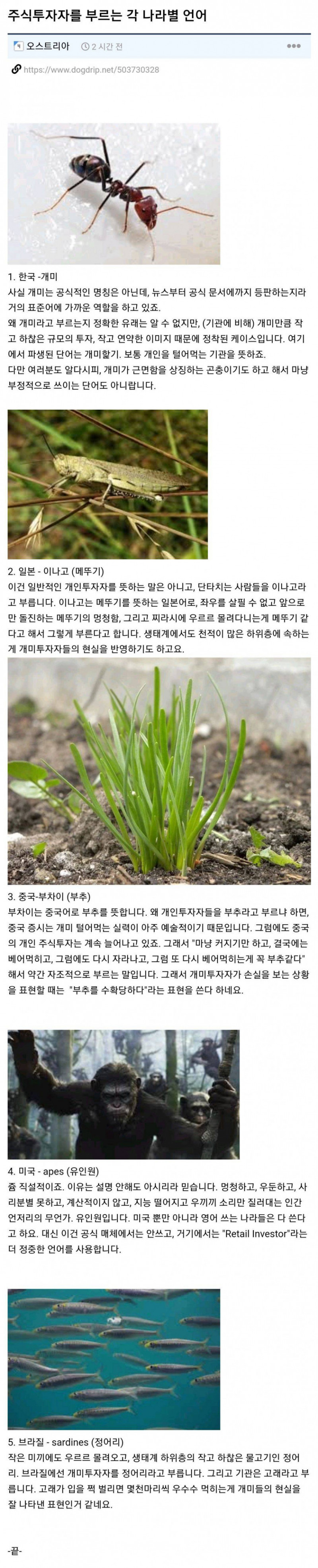 파워볼게임통계