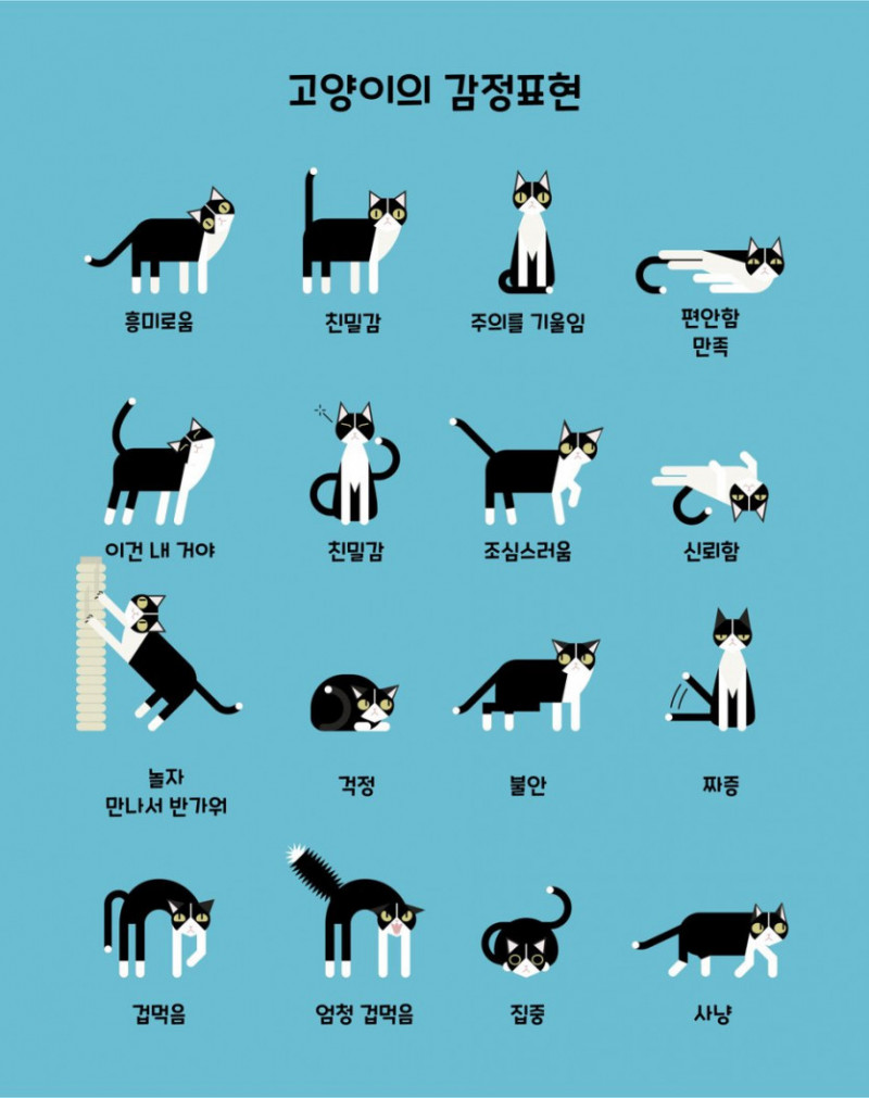 다리다리 분석과 실시간패턴통계