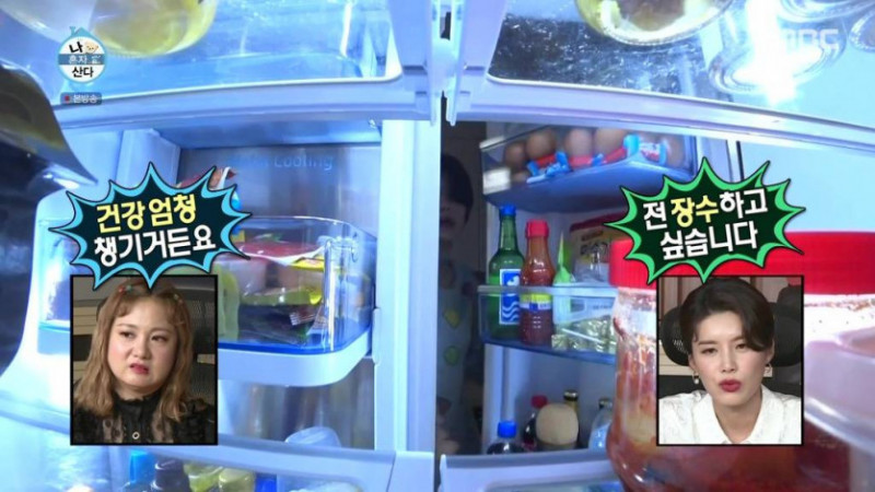 달팽이게임분석기