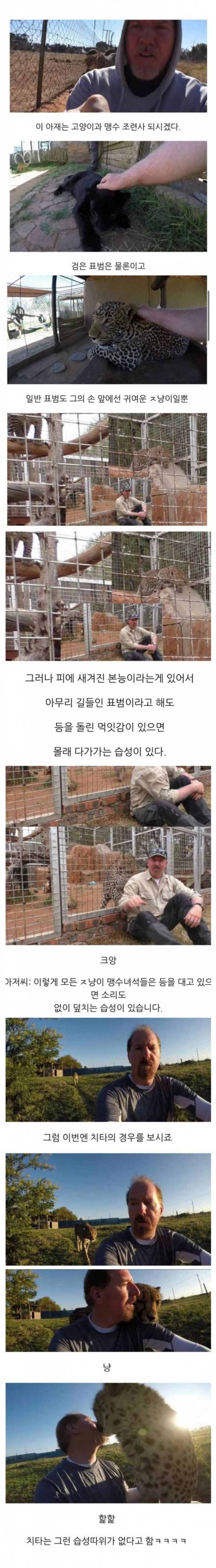 파워볼필승