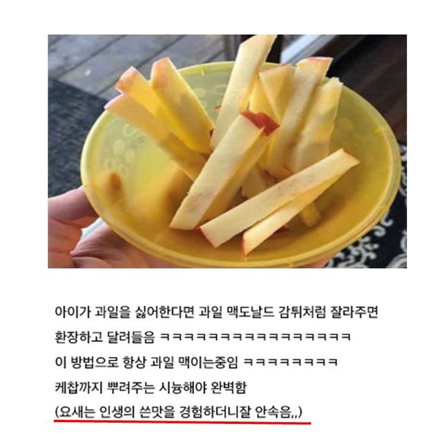 파워볼게임픽분석