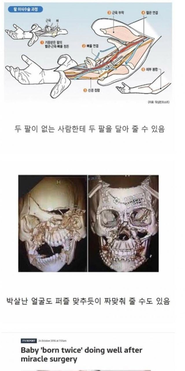 파워볼게임분석