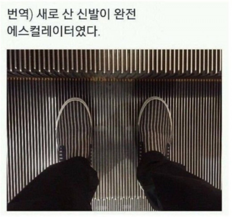 달팽이게임통계