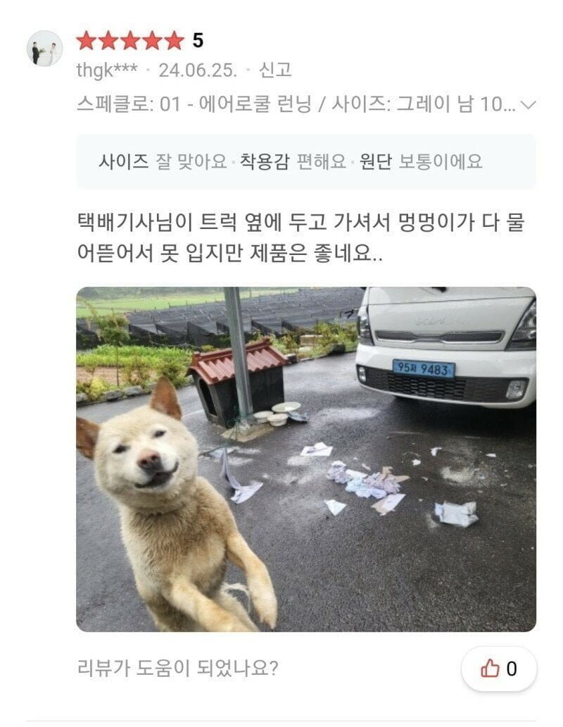 파워볼게임분석