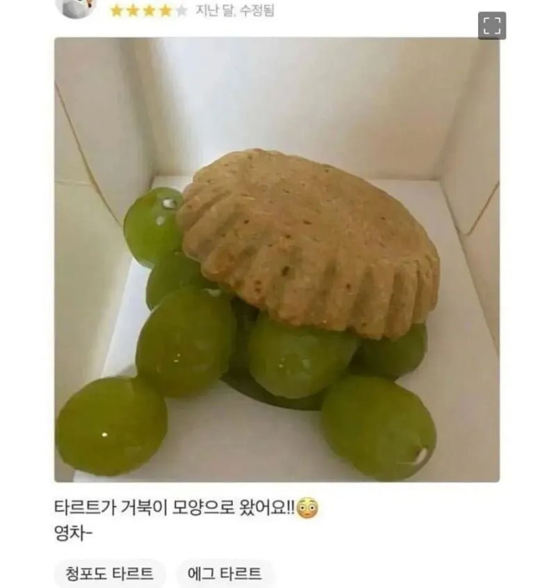 달팽이게임픽게임