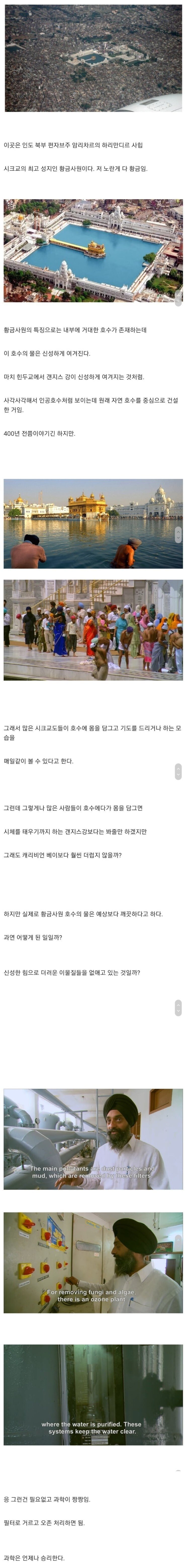 달팽이게임분석기