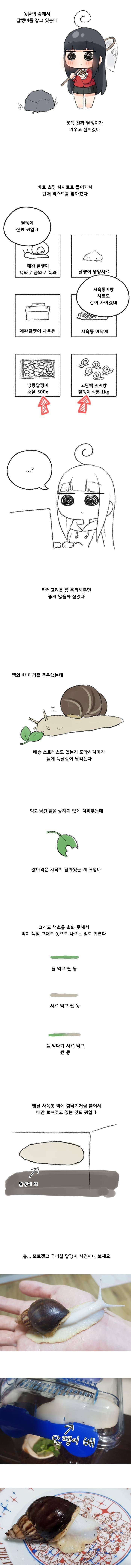 사다리게임분석