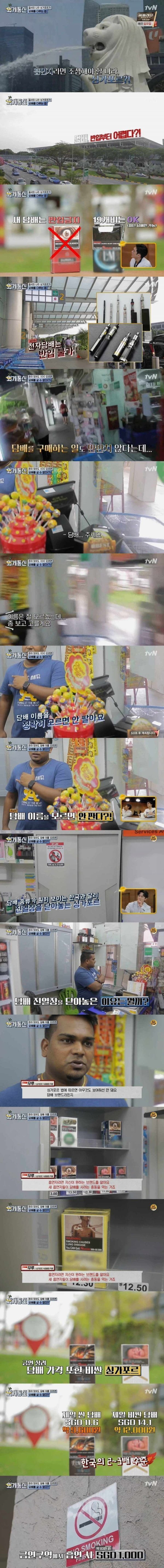 달팽이 분석과 실시간패턴통계