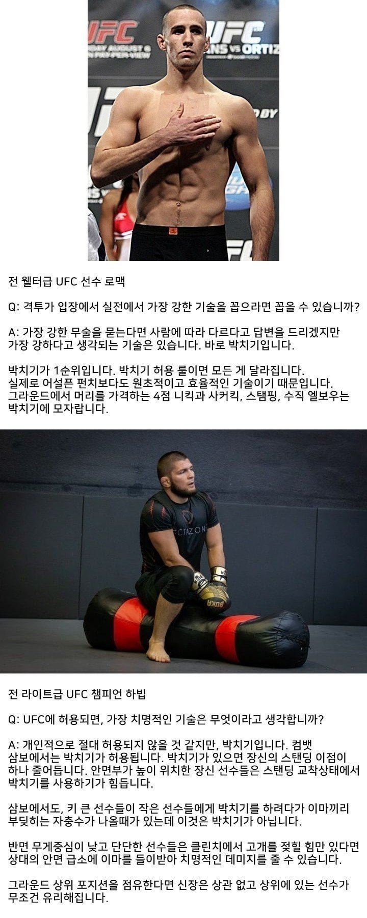 다리다리 분석과 실시간패턴통계