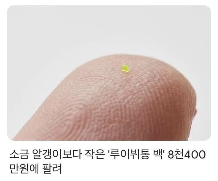 달팽이게임통계