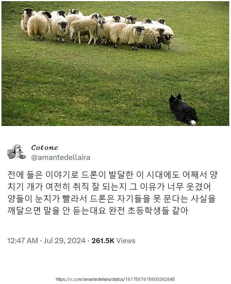 성인게임