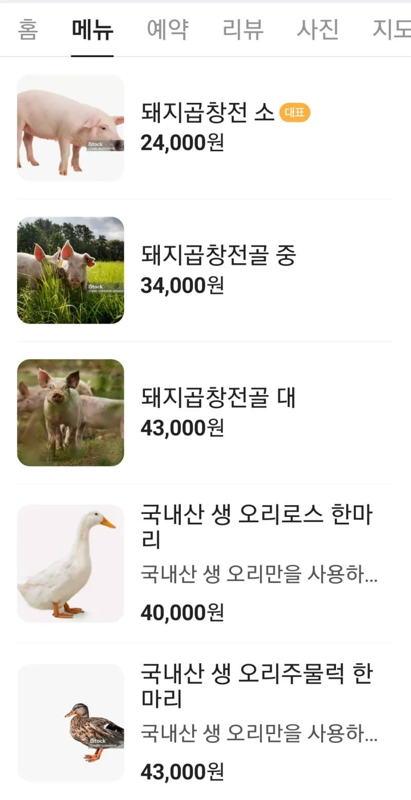 사다리 분석과 실시간패턴통계