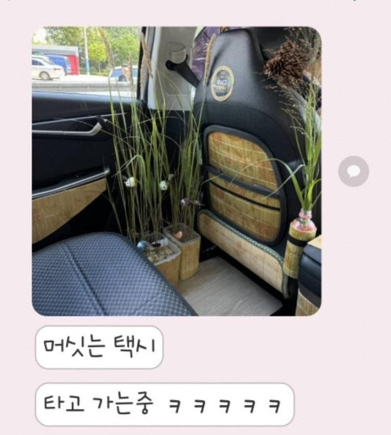 달팽이게임픽